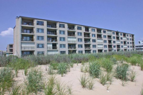 Ocean Trail 102